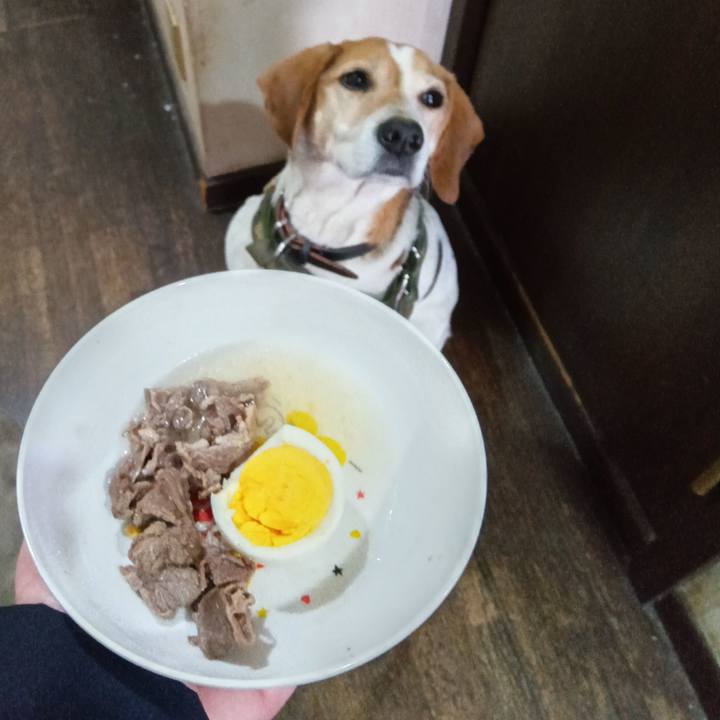 C4b2ee9f 3ea7 4f25 ab71 8f6f8b9e979f 1738937806983