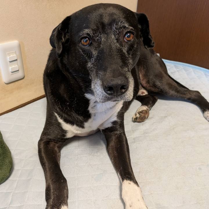 C4b32efb 8272 4640 ad29 490f905d955a 1757548638481