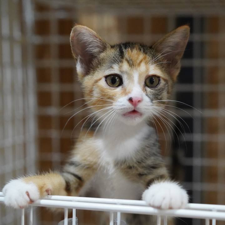 C4b36af3 be97 4f3d 8a23 8c4edab3250c 1567989183449