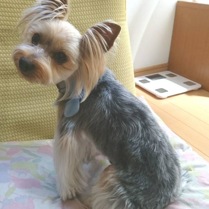 C4b39eb0 f708 4933 8cd7 6a978cb6aaf6 1526878210815