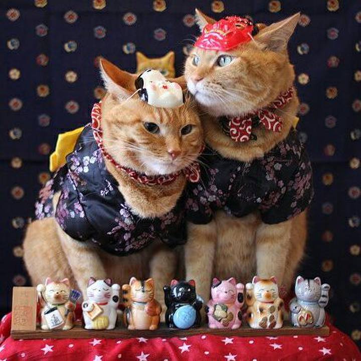 C4b3a7a7 82a8 46b7 bb9f 367c3c346e12 1517299655161