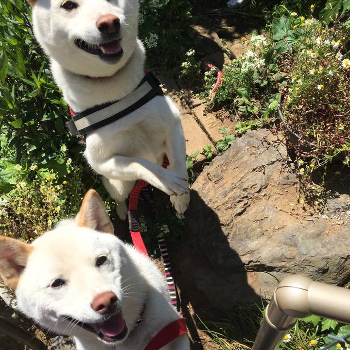 C4b3add3 83f6 4fc5 b9d6 fcd7816fda40 1557370184262