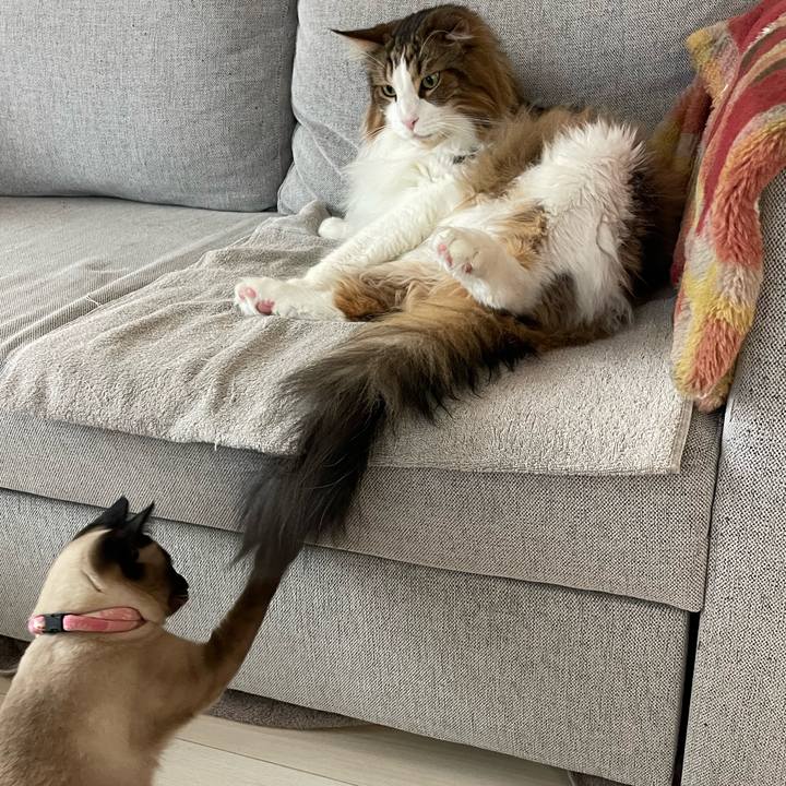 C4b3b699 9062 411f bb8b dc8bc7e9b648 1713823244507