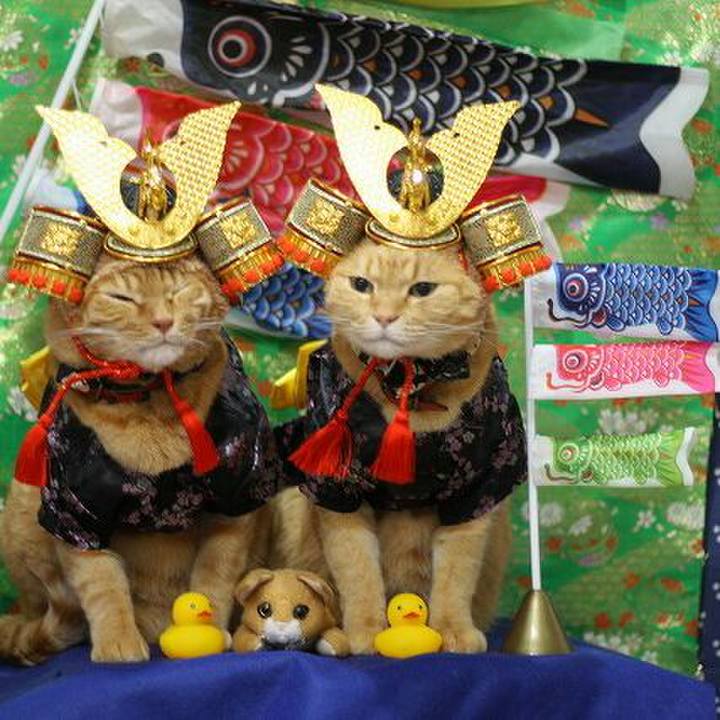 C4b400c7 9765 49c7 8086 36ed485bbd0f 1525508359158