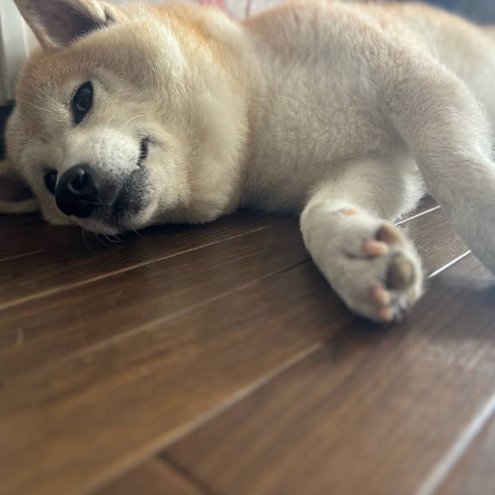 C4b401ca f0d7 44fa 8dc5 d40ea815976f 1751062253795