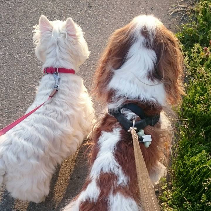 C4b41151 768b 4b30 ad3e 870fafcfebf7 1524386882340