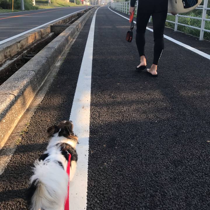 C4b4184d b1b0 42e3 a796 cdacd0185d61 1558840997723