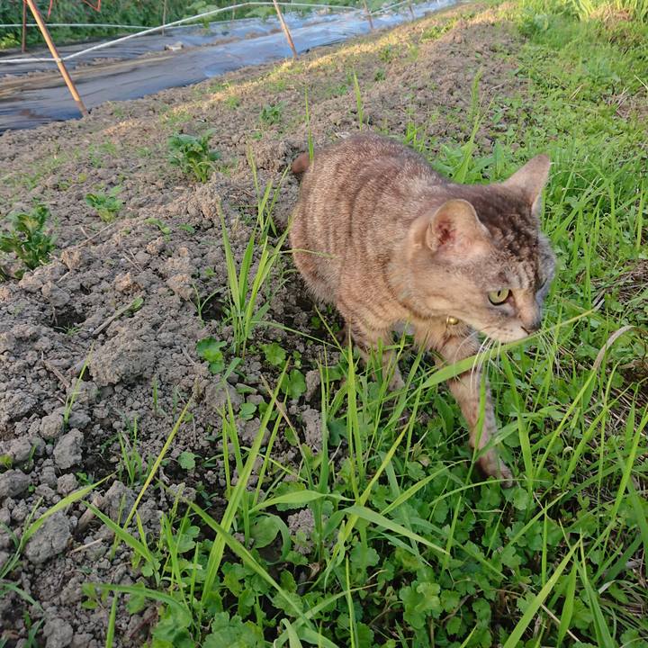 C4b43eb1 f889 453b b34c 801e32ba9502 1560332747074