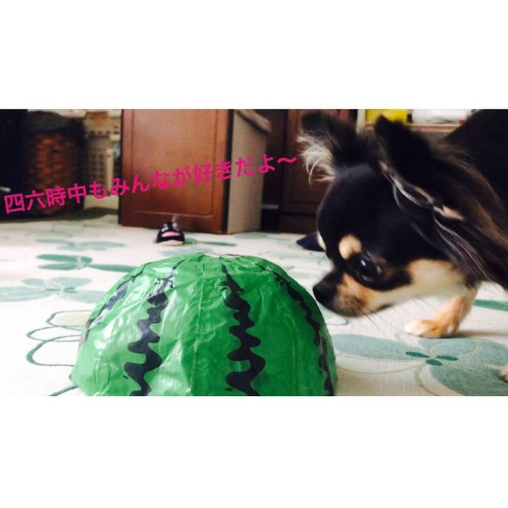 C4b479a1 5916 43dd a4ec 26e59ffbef1c 1562453222637