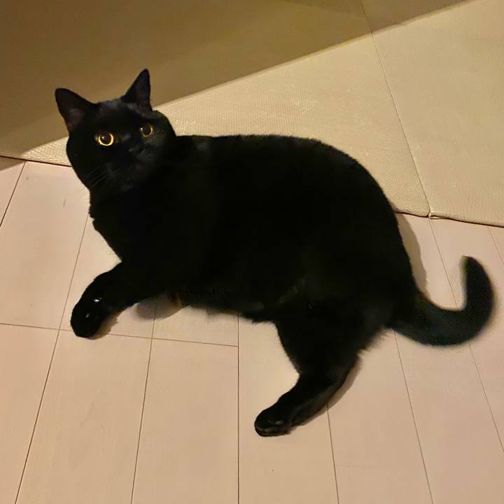 C4b4975c 8d60 4389 b6ef 51a60aa5cbcf 1607509888290