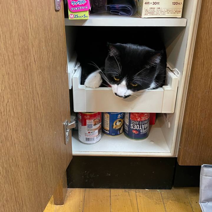 C4b4a4c5 7185 48b6 84e9 00b518c9cffa 1650459265888