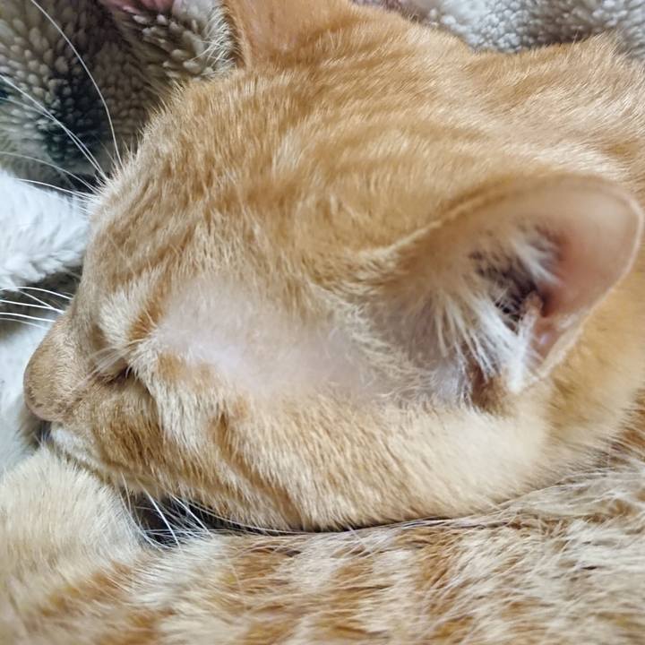 C4b4c048 211f 4c19 bfb8 885264694e77 1643459734276