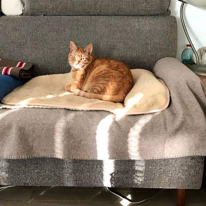 C4b4d638 100d 4ce2 aae3 ae74552e37e4 1583297064364