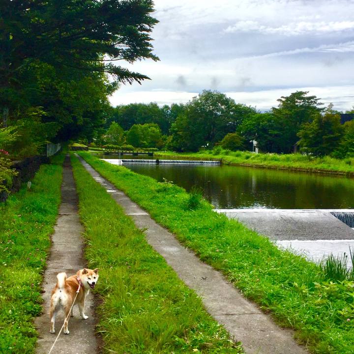 C4b4e956 3271 446d 8da0 53c67c58ad02 1563714888424