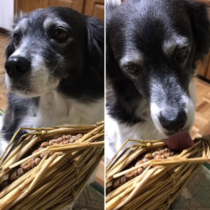 C4b4ef0d 30a3 4f91 86d6 9f94d68d9d30 1520047614426