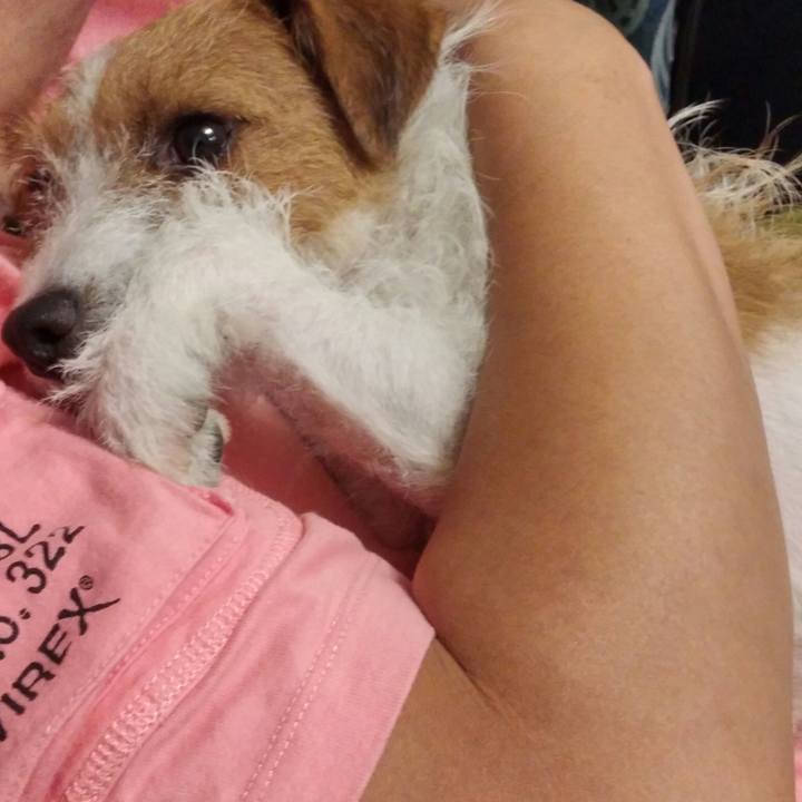 C4b53b26 51d0 4f98 acaa 32b9f508b206 1537097753812