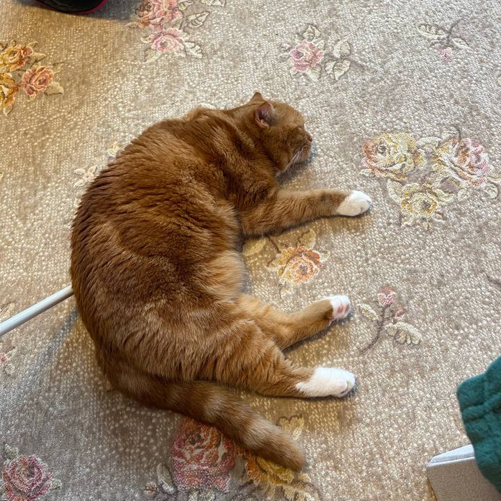 C4b53d74 f3b9 4f8e 981b 986fd8d48b1e 1659237996113