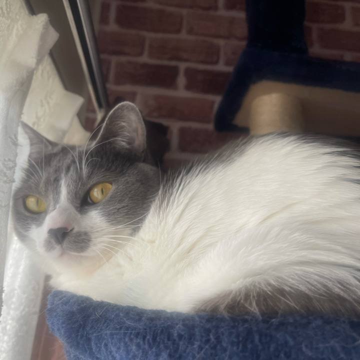 C4b56c4f d417 4010 895b b8fecc5b3fe9 1643761052533