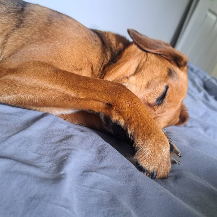 C4b579b0 675e 40b4 954b 72587094d009 1772972305436