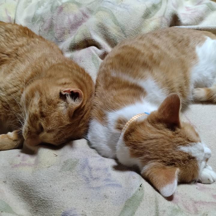 C4b59496 417d 4115 81d2 efffbea7bf6a 1733316791811