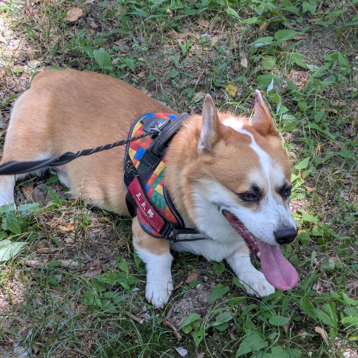 C4b5a160 0984 48f1 9e39 c213e5557ea6 1754387102205