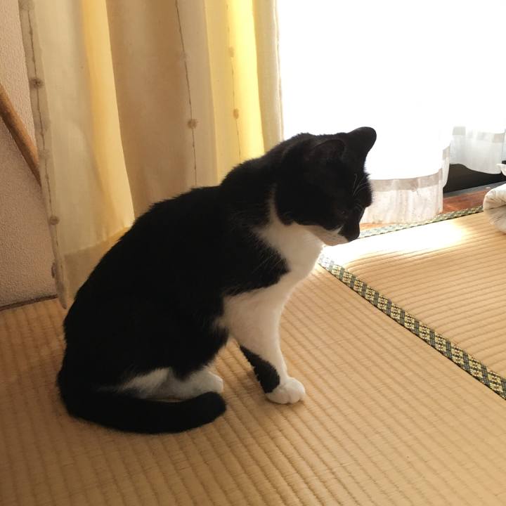 C4b5b59d 5cc6 42cc b9d1 00d34a68a084 1568085259332