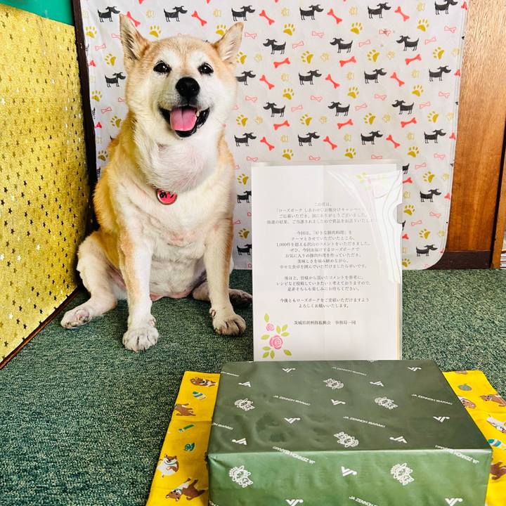 C4b5c229 dca1 472e be42 fd9de4453e55 1752719810681