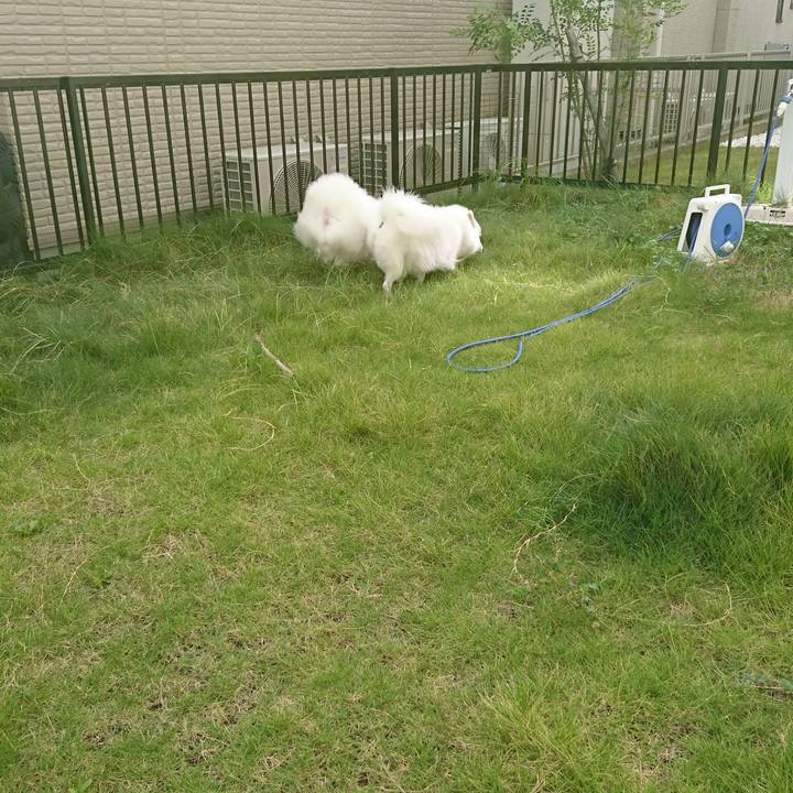 C4b5f2c6 3560 4177 8eb3 bf0756474b4c 1601181180754