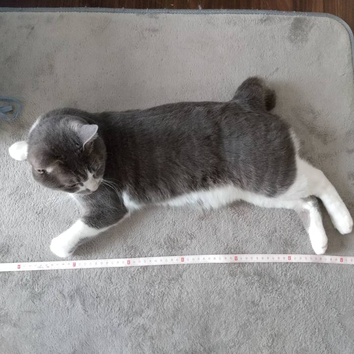 C4b5fc1f cd5d 4678 85f3 844a6c4a3b4e 1649561503960