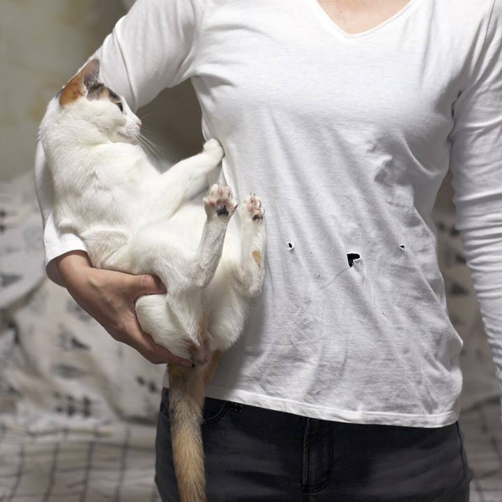 C4b62e4d d286 477c 8665 c58437e81698 1560559651902