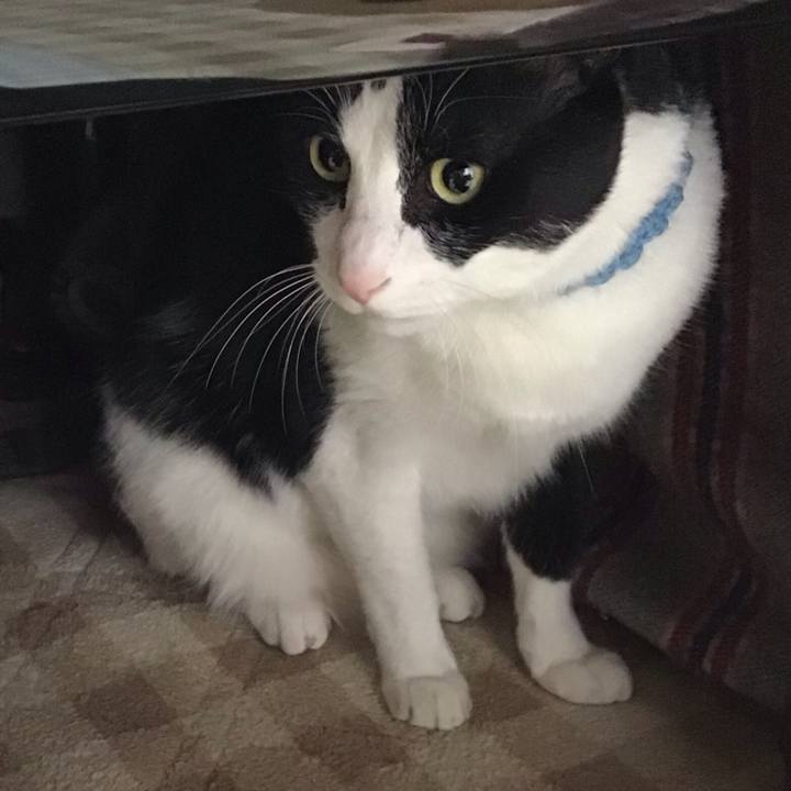 C4b63be7 ab18 4c1e 8745 ebbd08f7137f 1740132260755