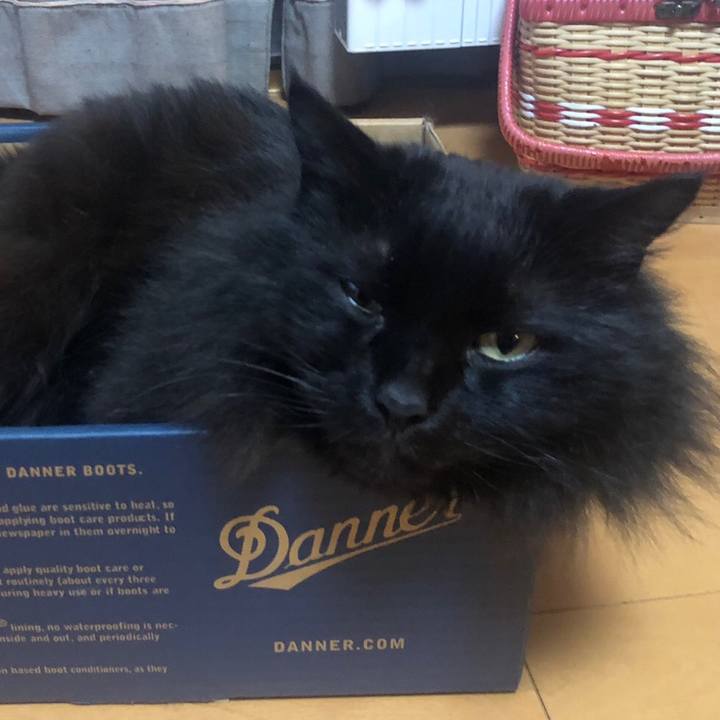 C4b65515 d654 4a33 9c49 597e305b7b28 1551609583322