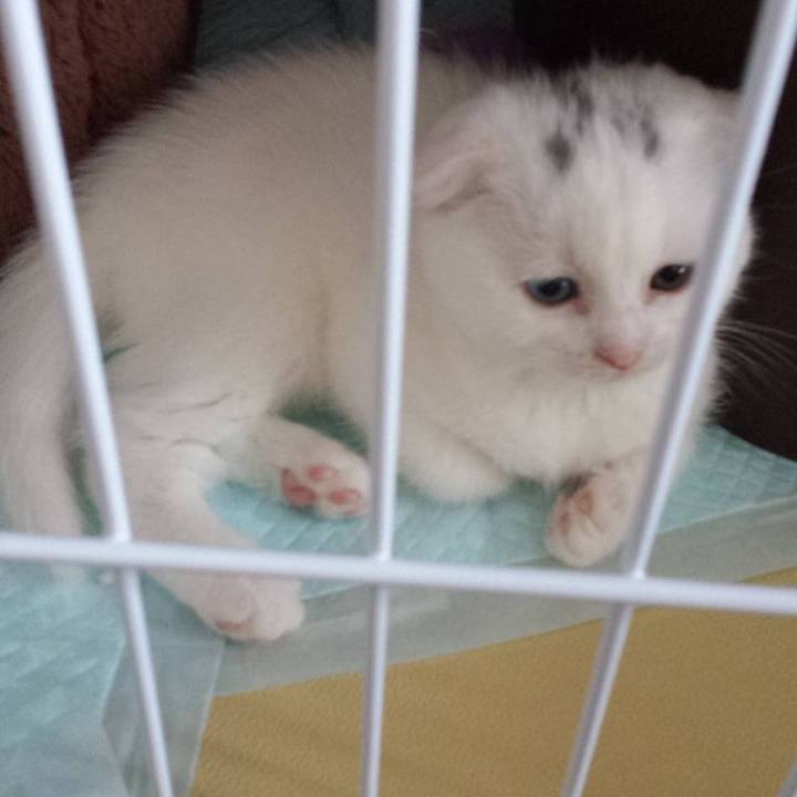 C4b65f31 cf4d 43fa b7fd 1b1da133f58c 1615643495891