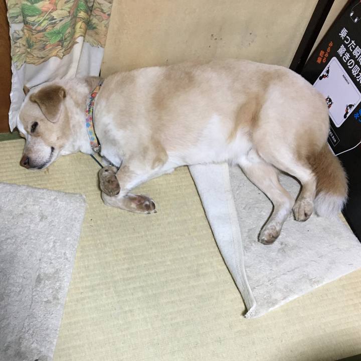 C4b66342 5bb5 48be bce5 3a383aab13d0 1524660930921