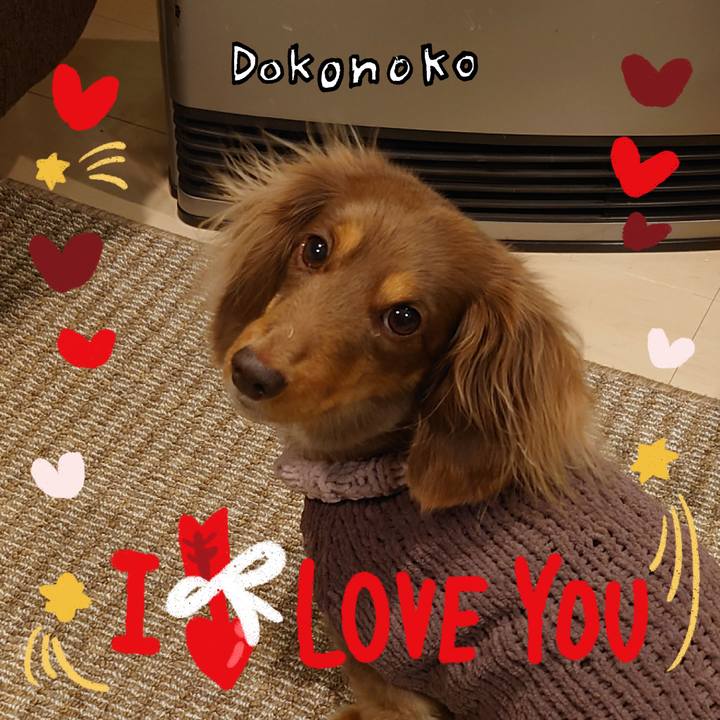 C4b66508 73f2 42ab 8a65 feac5709bd0d 1706785926883