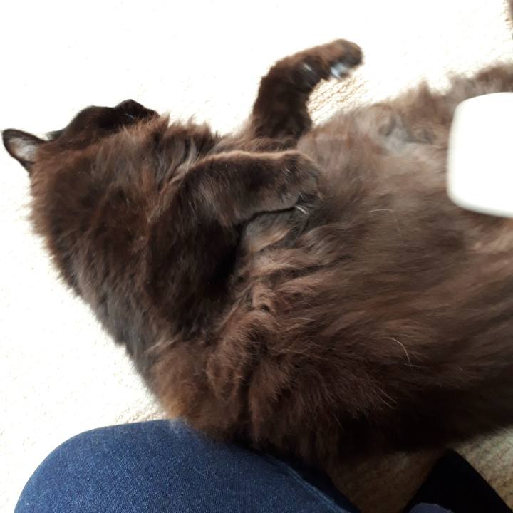 C4b67086 a959 4470 b113 ed29a4c9756e 1519082541111