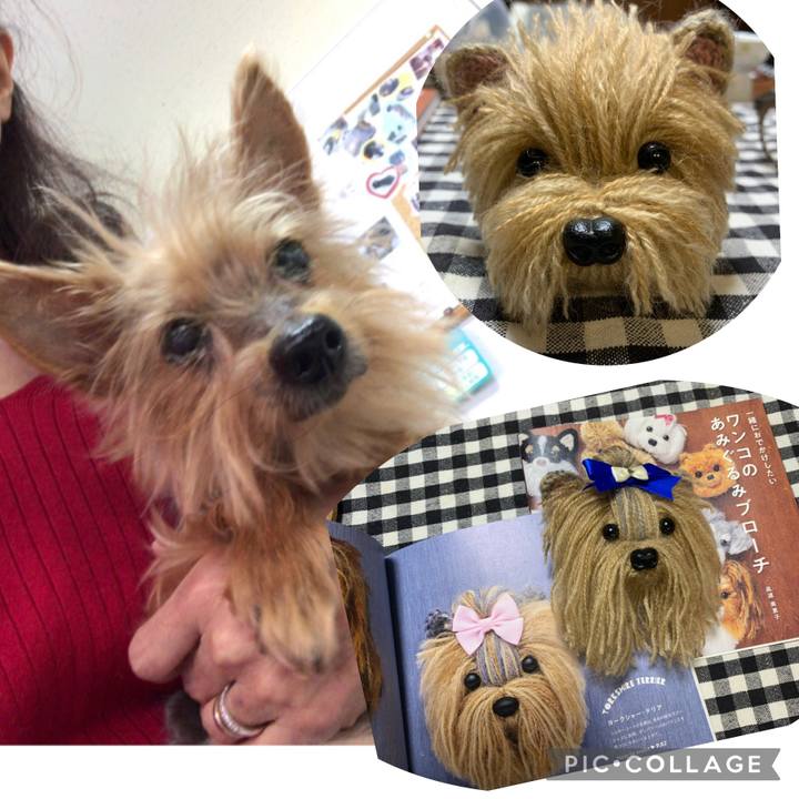 C4b6cf5b f9c2 4044 88e7 725ca38dd3a0 1674903504222