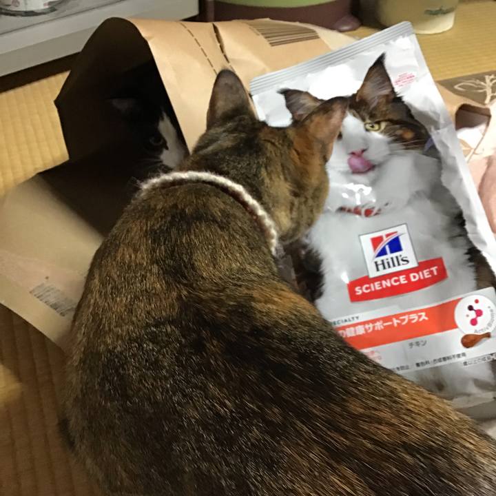 C4b6f4a6 a4d5 4eee abd2 685b3642c09d 1651139058117