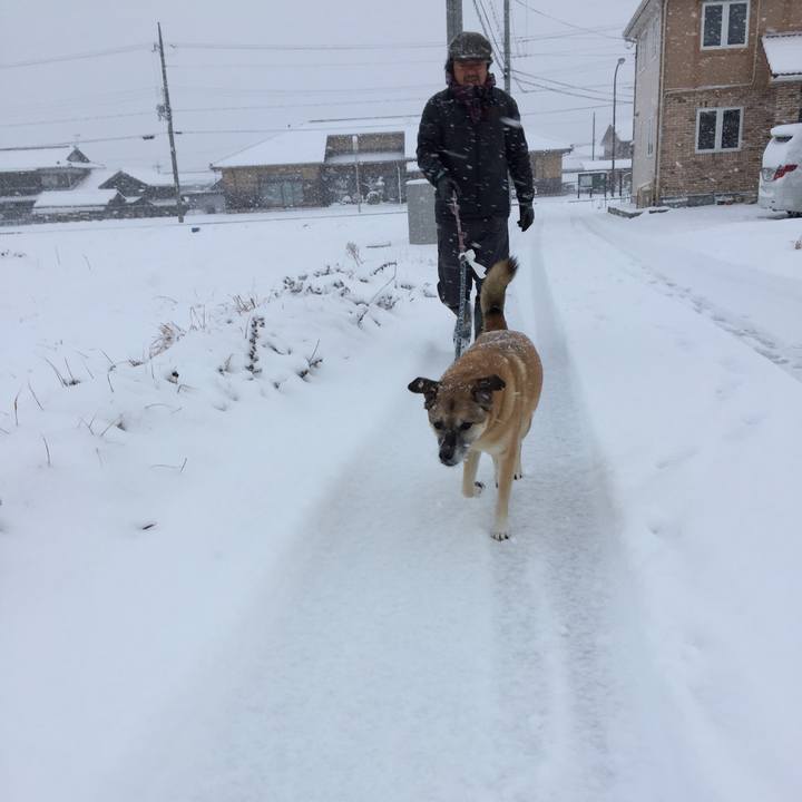 C4b72026 c104 44ef 865d 4cc608636887 1517012603255