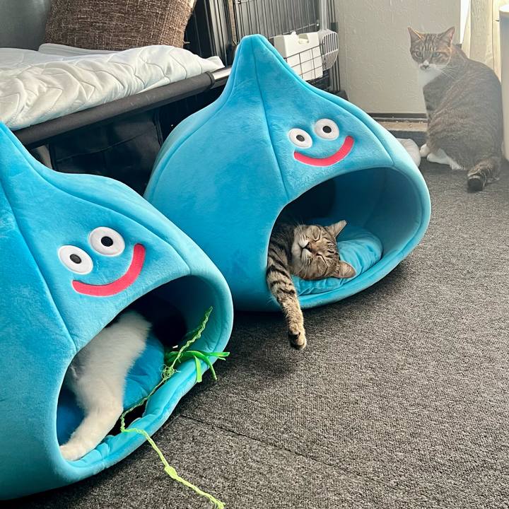 C4b72b10 923a 4994 958a 4764a12103b5 1760014848244