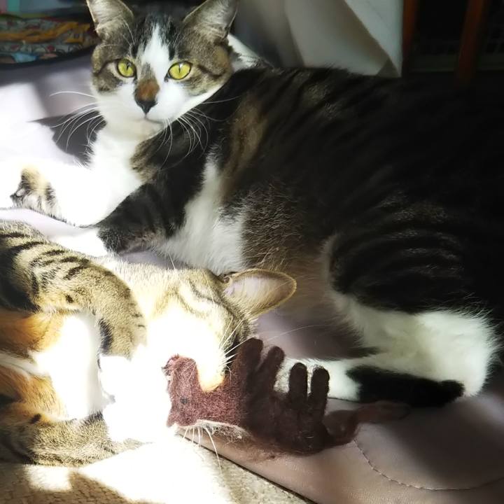 C4b7420b 1a45 4e7f 941c 51859f286906 1604758674818