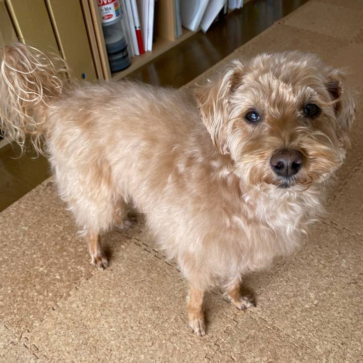 C4b75057 d4e6 44ab 833a c90bbb03a00d 1647746537089