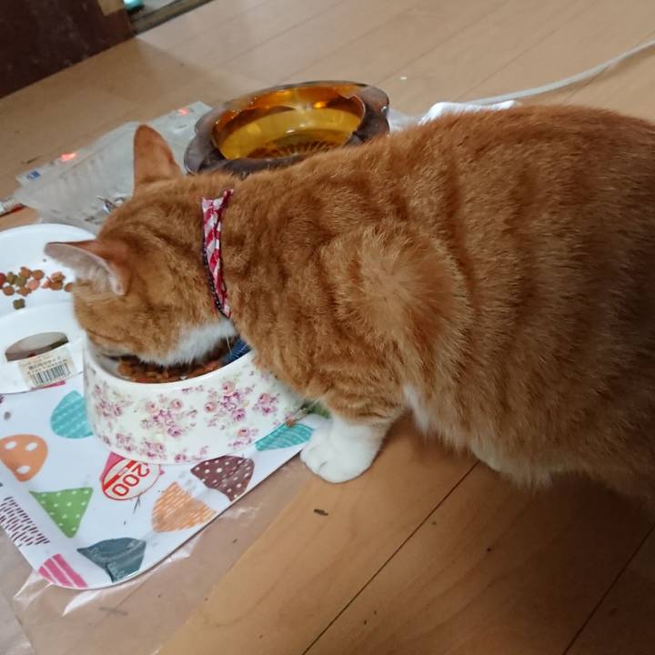 C4b7a1a7 04cb 444a a8f3 d42c85bbab17 1598142070047