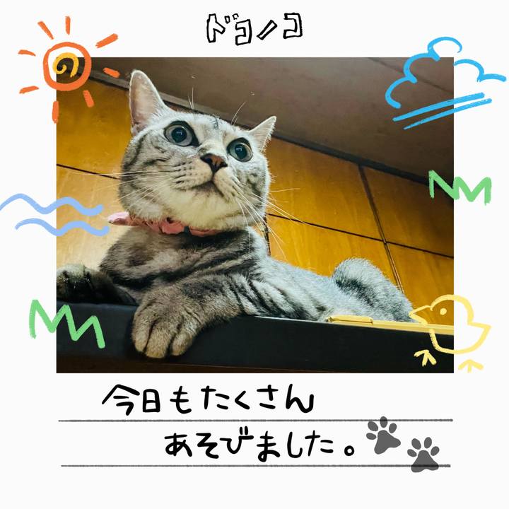 C4b7a37a 04b2 4944 8d7b d32fed33e969 1755433963071