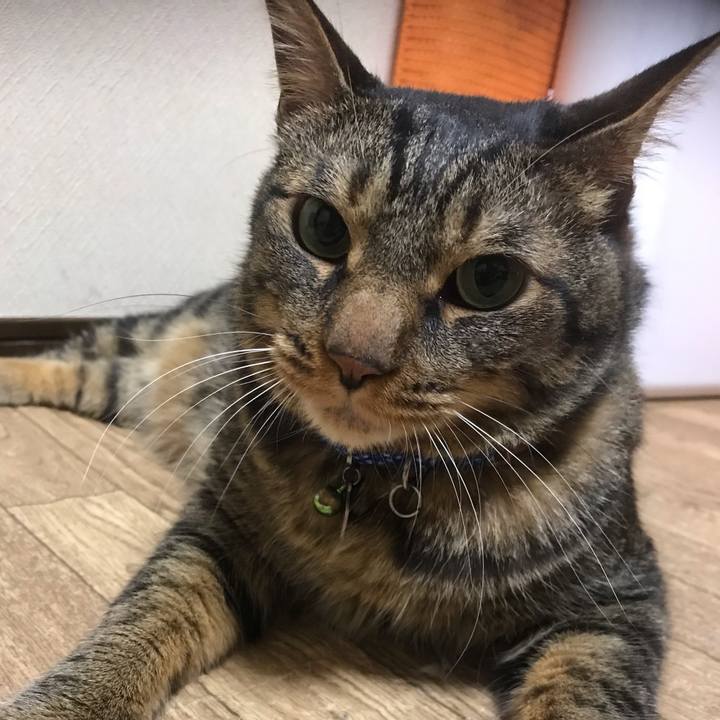 C4b7e27e 21d1 4ae7 8a5f 5565bebc51a4 1631189546309