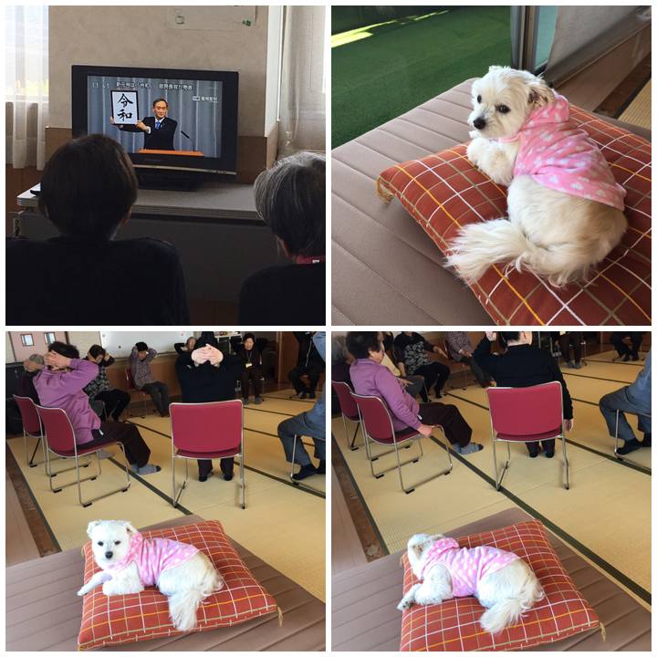 C4b7f5a4 f81d 408b b7d7 ac2da8168a27 1554087789606