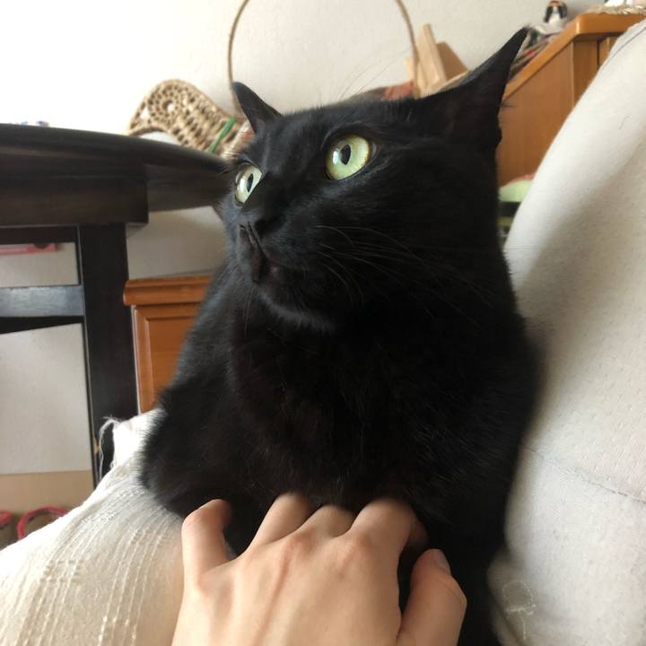 C4b7fbd8 1b5f 468a 915a d7d4f7099ea4 1569889164229