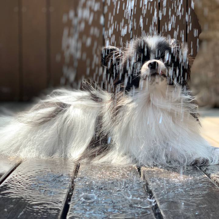 C4b81b19 3fa7 4b20 bdc6 cc9323c0e63f 1564395744183