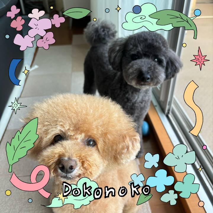 C4b861dc bf04 49c1 9c9d 28d9af20e3b9 1718072927083