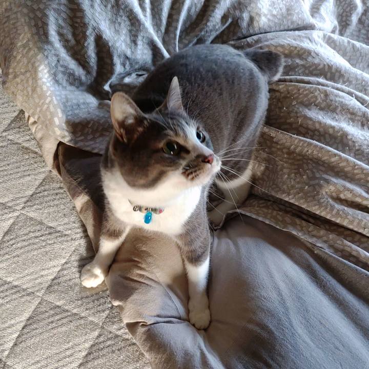 C4b863fd c908 42c7 9878 87589ec88d40 1712820215154